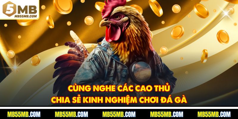Cùng nghe các cao thủ chia sẻ kinh nghiệm chơi đá gà