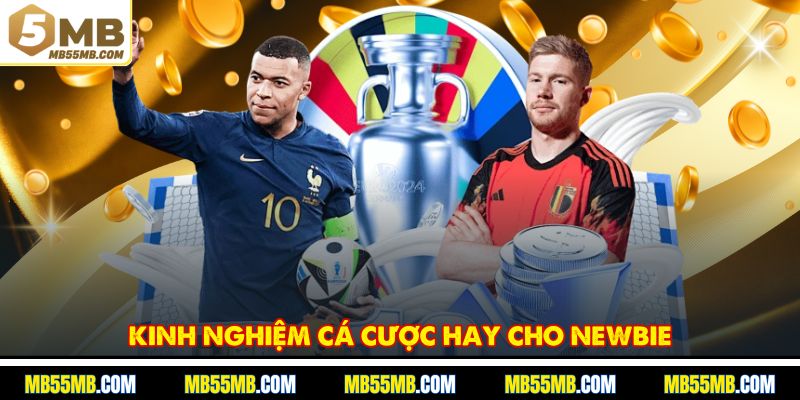 Kinh nghiệm cá cược hay cho newbie