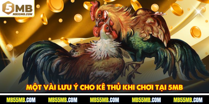 Một vài lưu ý cho kê thủ khi chơi tại 5MB