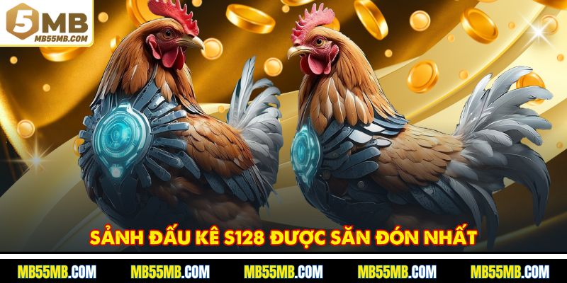 Sảnh đấu kê S128 được săn đón nhất